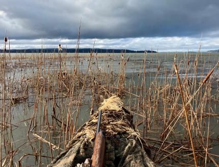 Kayak waterfowl hunting at a North Puget Sound Region Wildlife Area.