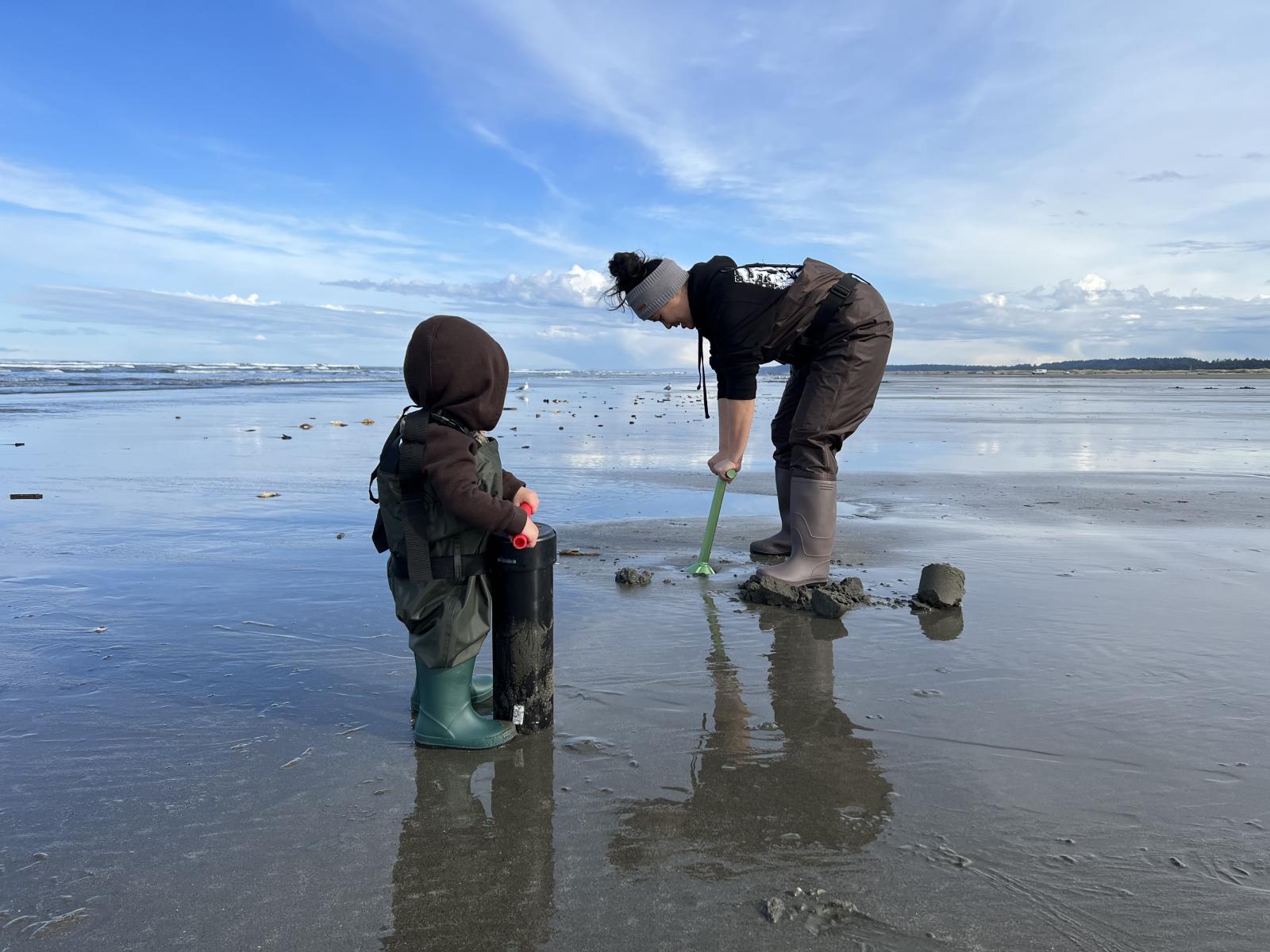 Son razor clam digging with mom