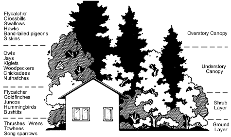 Landscaping layers illustration