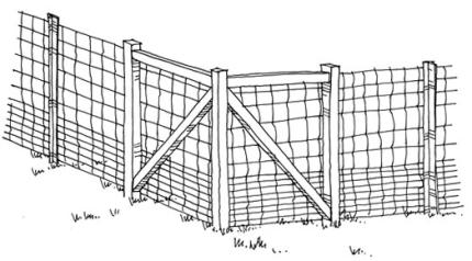 Drawing showing how to construct a elk-proof fence