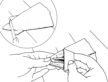 Drawing showing where to cut and how to pull the membrane off of the mantle 