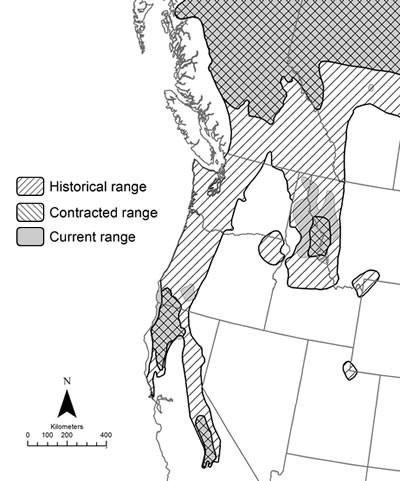 Map with shaded range of the Fisher between the west and Canada