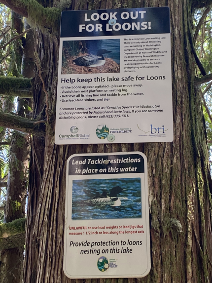 A set of signs for common loon