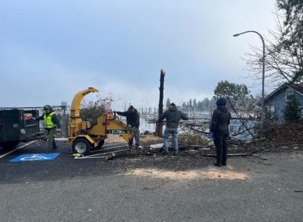 Dead tree removal at Boston Harbor Ramp.