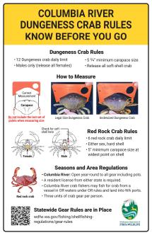 Columbia River recreational crab rules sign