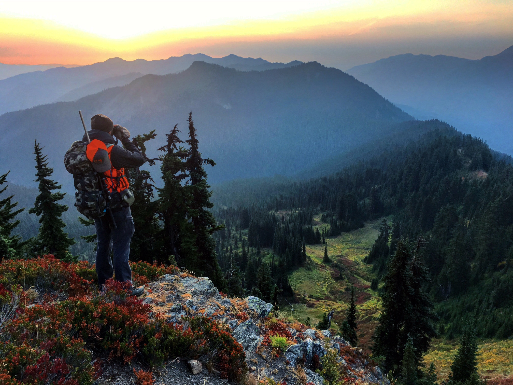 Get Involved | Washington Department of Fish & Wildlife