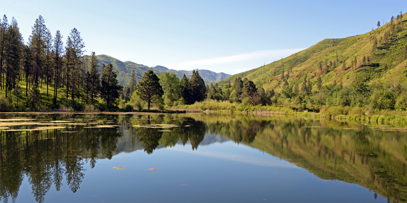 Hills and trees reflected in a lake