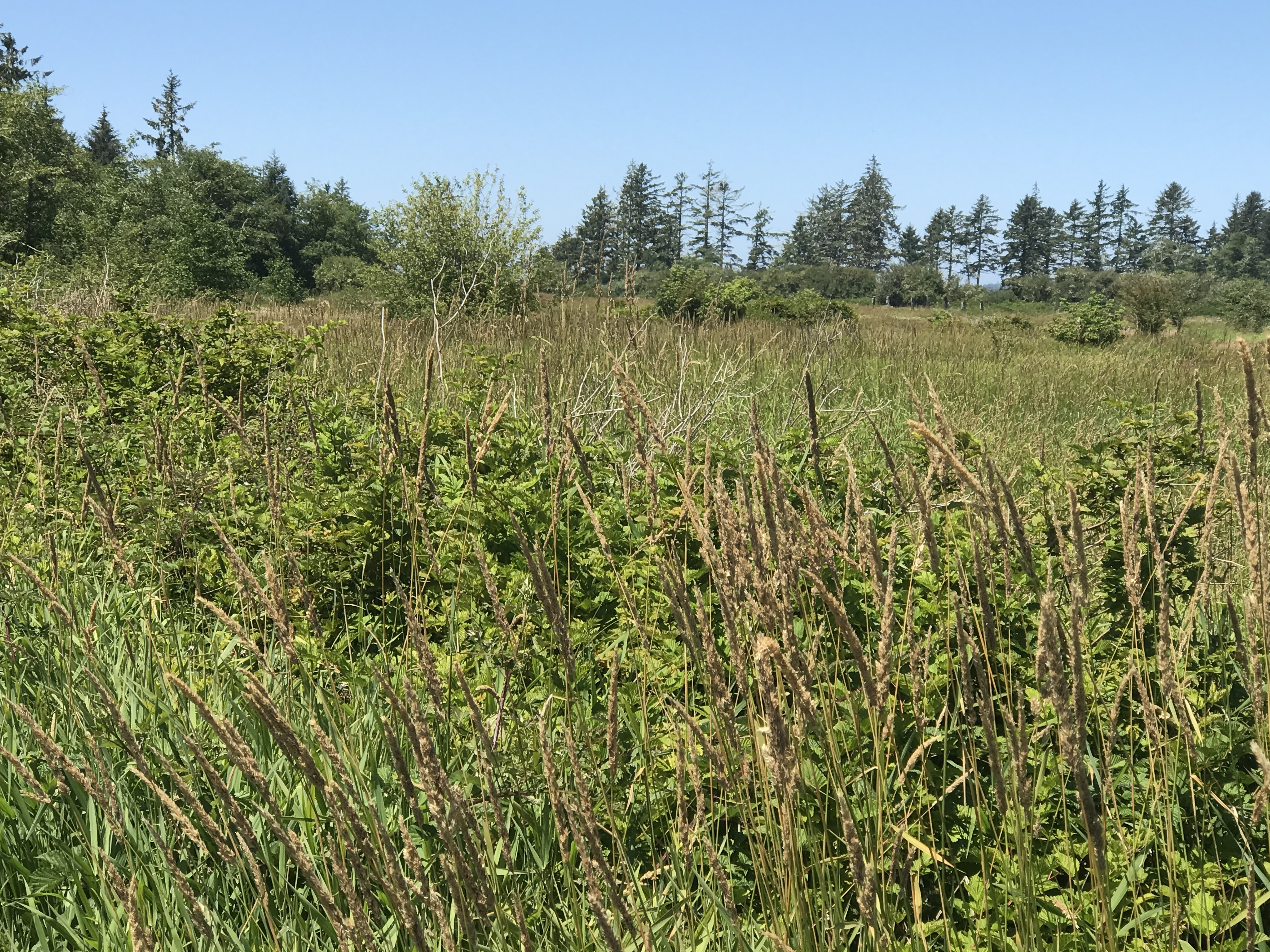 American Prairie purchases land next to tribe, waterfowl preserve