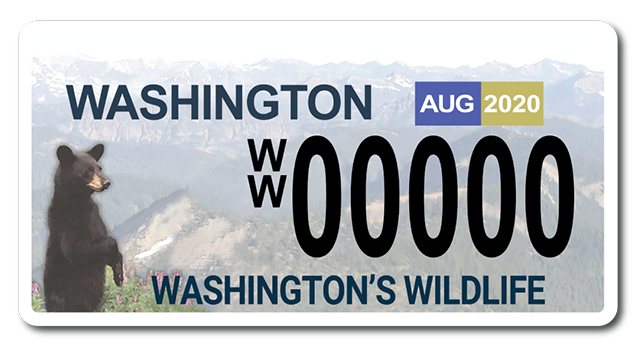 Washington's wildlife bear license plate