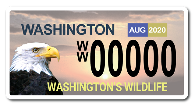 Wild on Washington eagle license plate