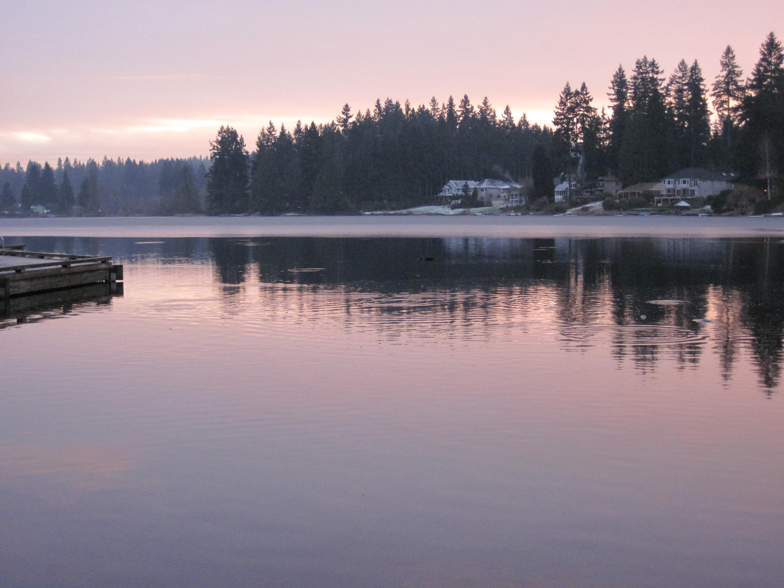 Cottage Lake | Washington Department of Fish & Wildlife