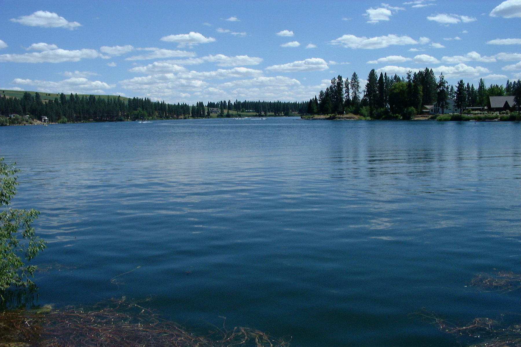 Silver Lake Washington Department Of Fish Wildlife
