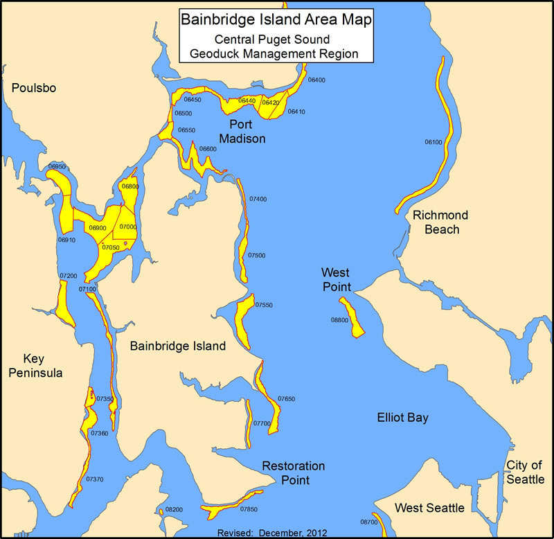 Geoduck tracts within the Bainbridge Island area