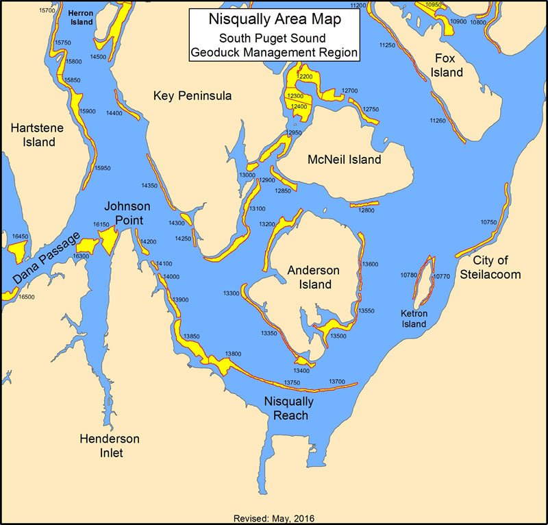 Geoduck tracts within the Nisqually area