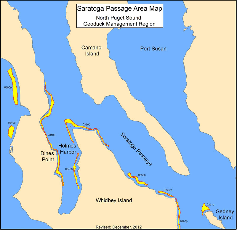 Geoduck tracts within the Saratoga Passage area