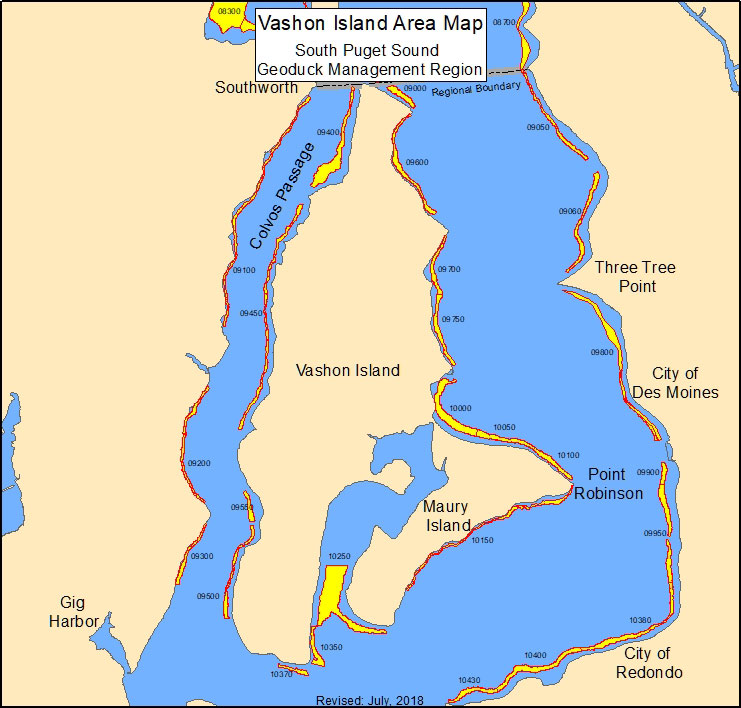 Geoduck tracts located within the Vashon Island area