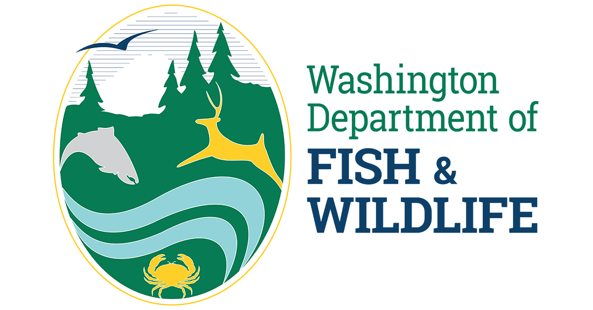 Red Irish lord | Washington Department of Fish & Wildlife