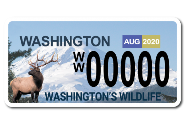 Washington wildlife license plate features an elk