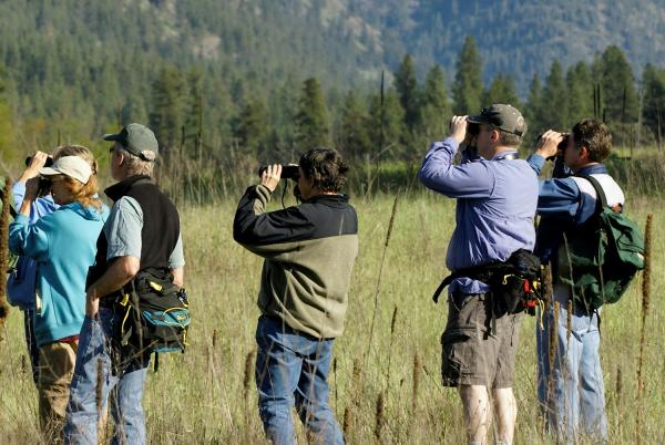 Group of people look through binoculars in a field.