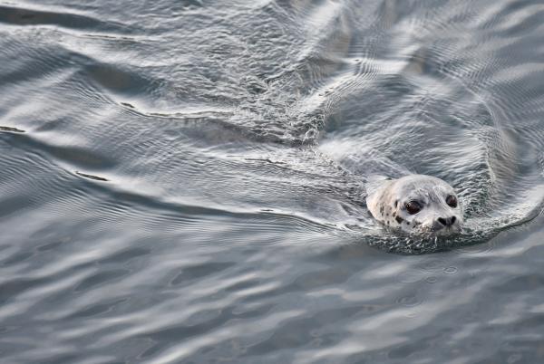 Fishing & Shellfishing | Washington Department Of Fish & Wildlife