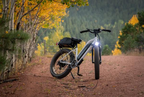 E-bike in forested environment with fall leaves