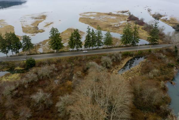 Aerial view of the Duckabush Estuary