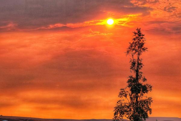 Wildfire sunset