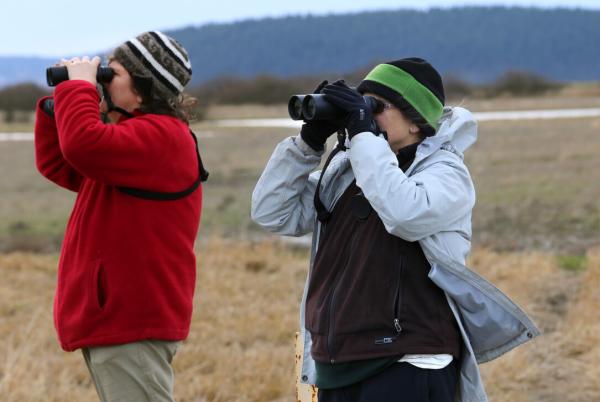People bird watching at the Skagit Wildlife Area.