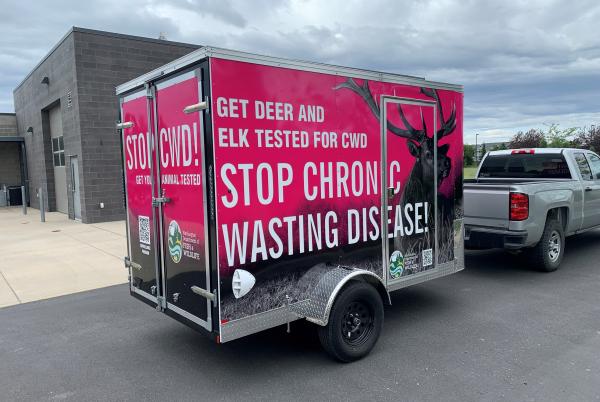 WDFW's chronic wasting disease testing trailer