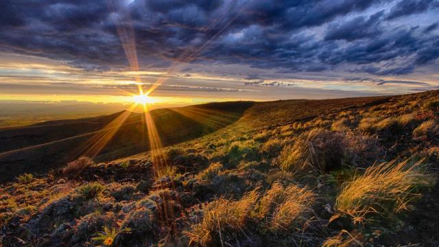 Sunrise on hillside at the Quilomene Wildlife Area Unit.