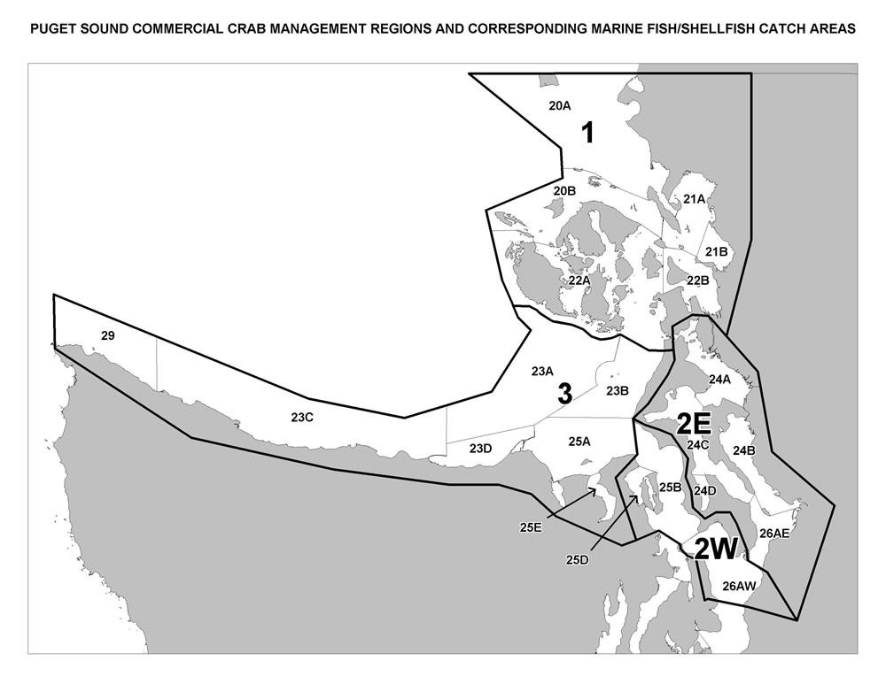 Puget Sound crab management regions and catch areas map