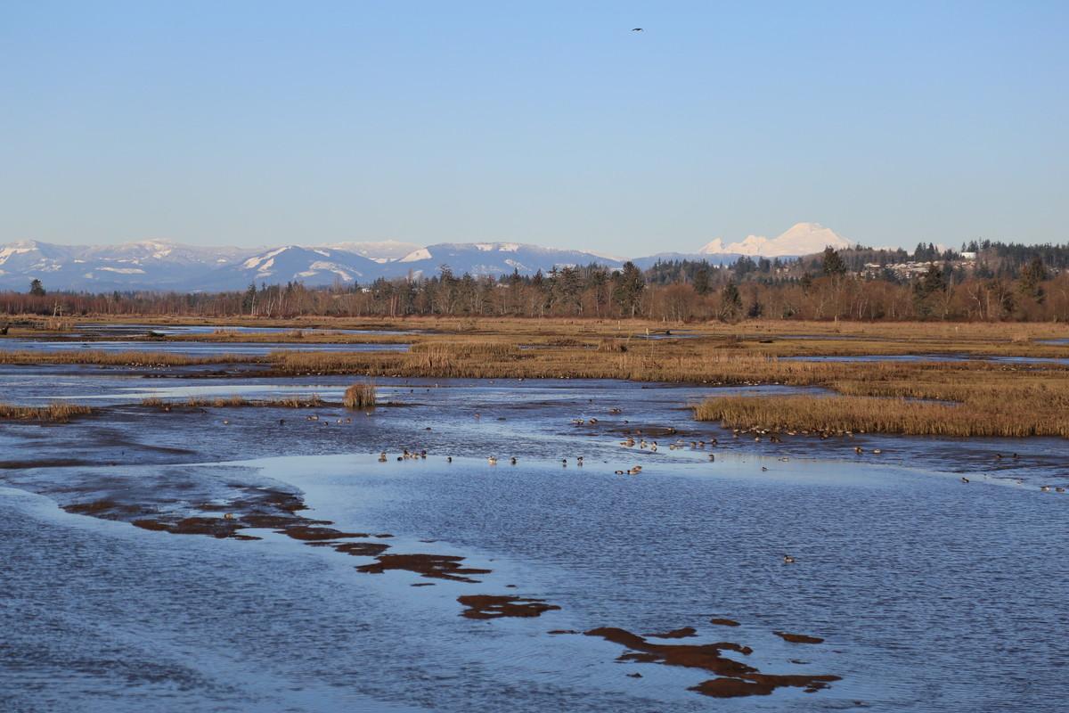 Estuary on Spencer Island