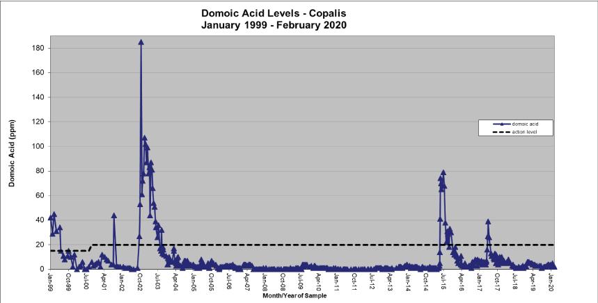 Chart: Domoic Acid Levels-Copalis-1999-2019