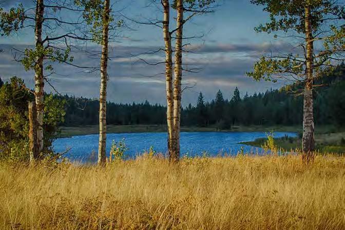 The lake surrounded by forest
