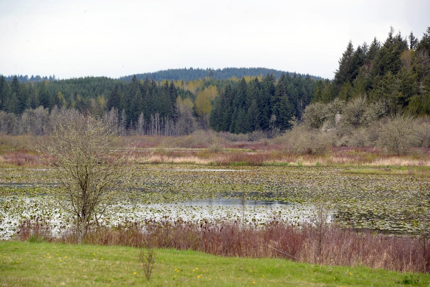A view of the Canal Road Unit