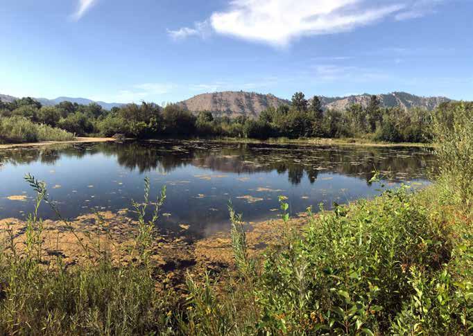 Side channel at Cashmere Pond
