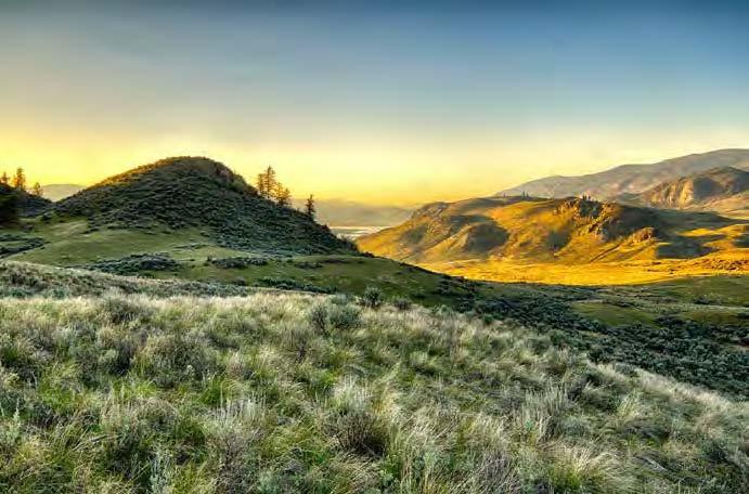 Hills and field at sunset