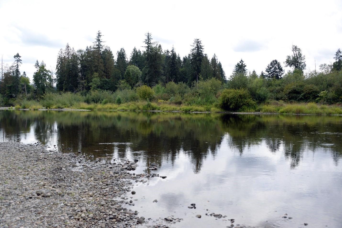 The Eagle Island Unit from the Lewis River