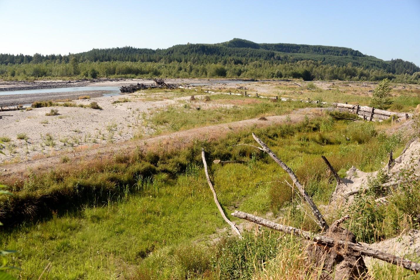 View of the Toutle River from the Gardner Unit