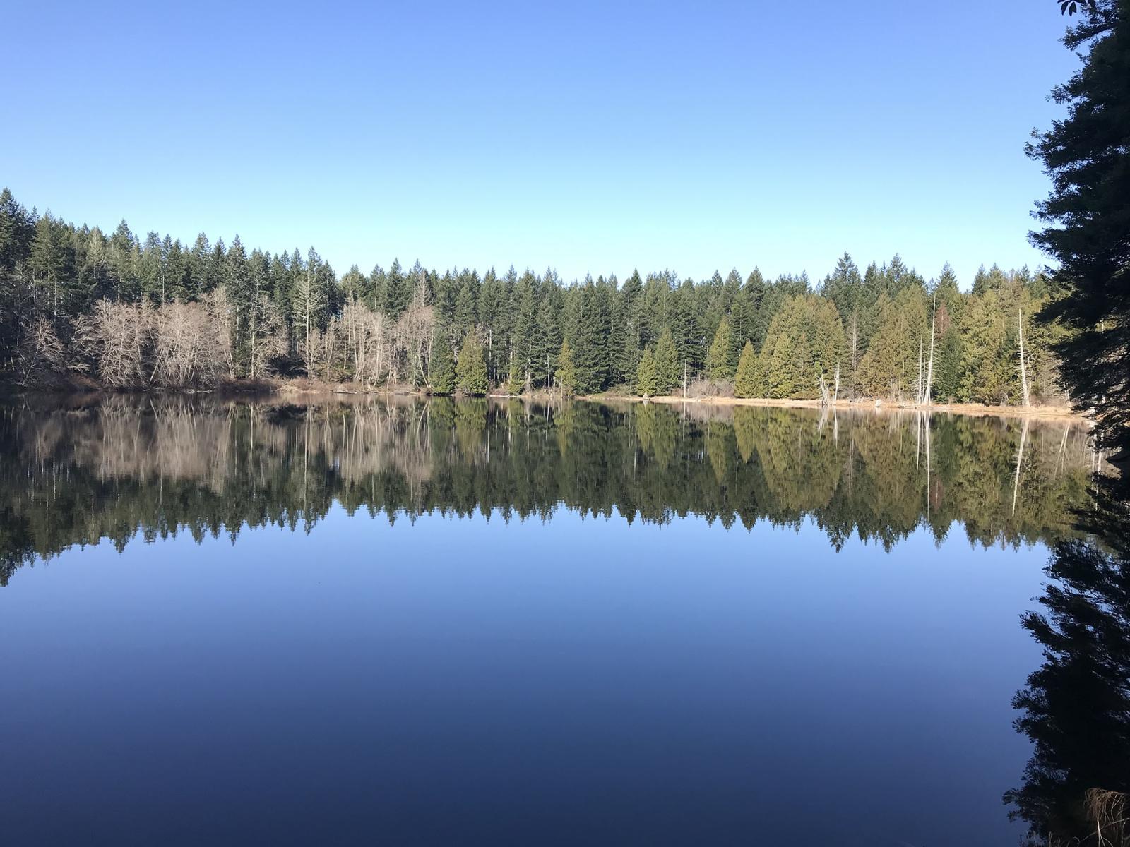 View looking across Lake Koeneman