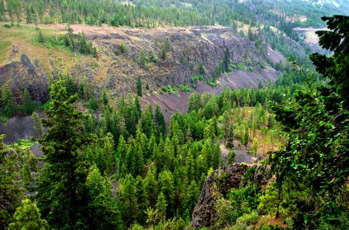 Righthand Fork Creek Canyon from above