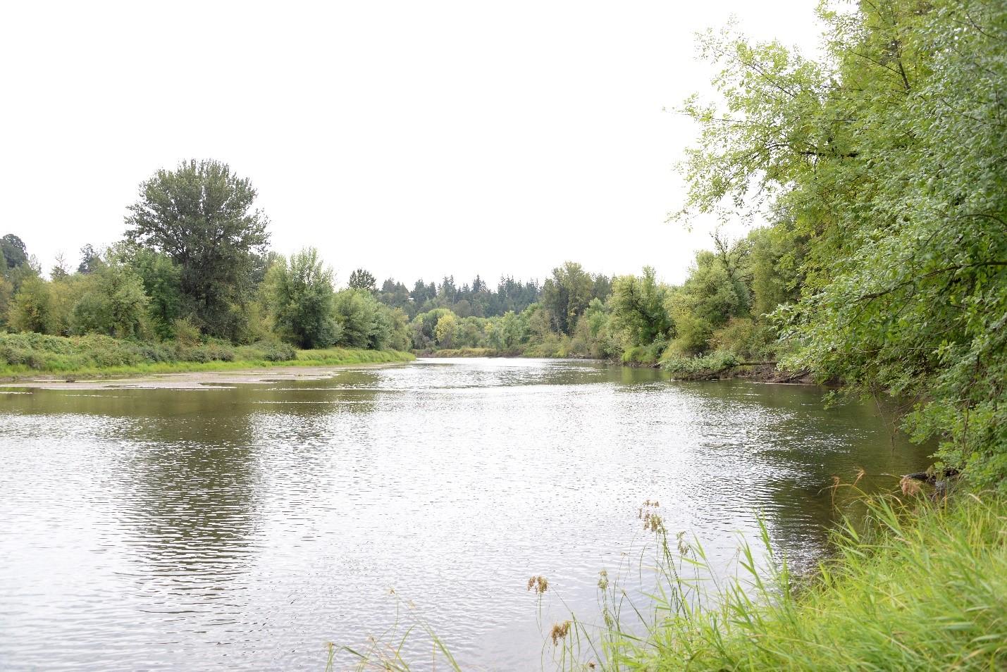 The Lewis River on the Two Forks Unit