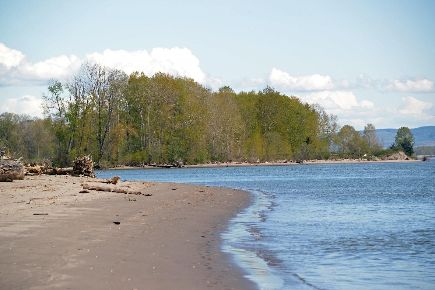 View of White Island from the beach