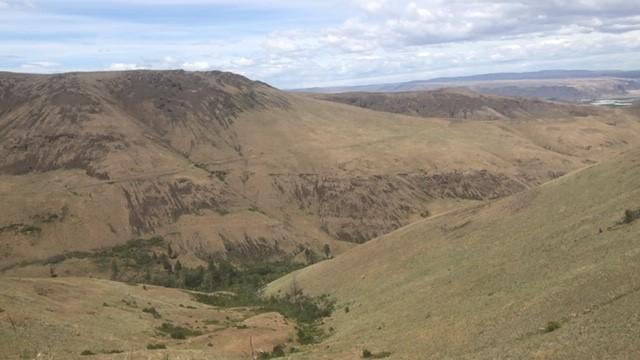 Hills and trees on the Colockum Wildlife Area under a cloudy sky