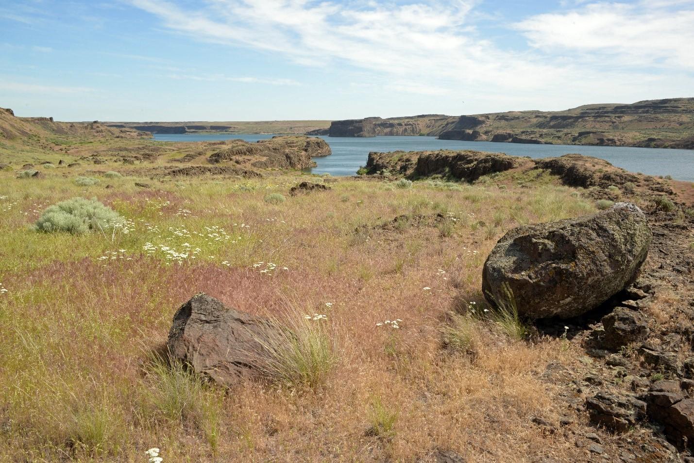 Back country view of the Billy Clapp Lake Unit with boulders, fields, and lake in background