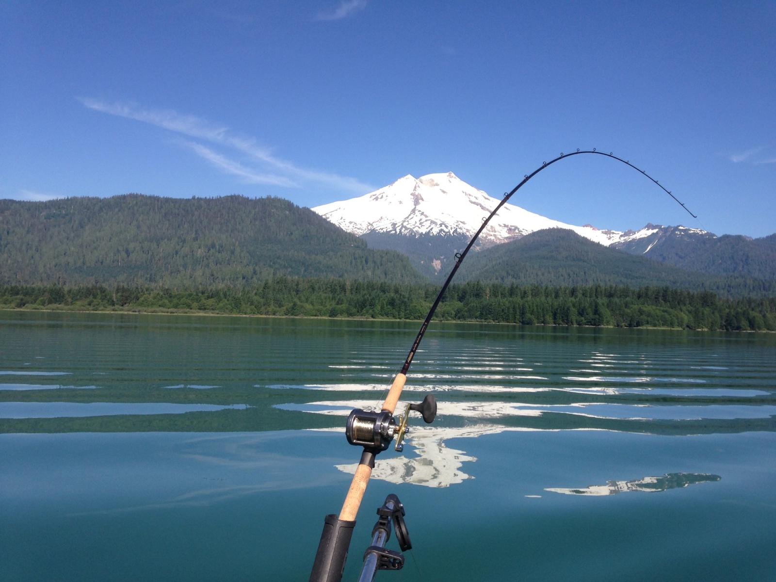 Adult Fishing Rods, Amphibian Fishing Rods & More
