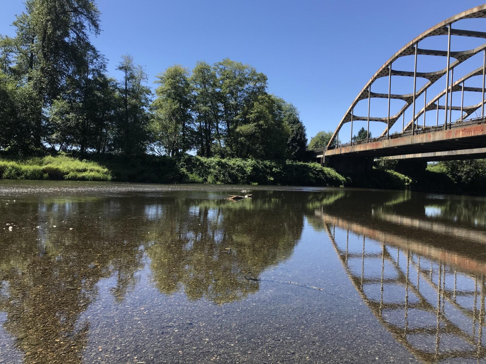 View of double bridges over Satsop River from the WDFW Satsop Wildlife Area Unit