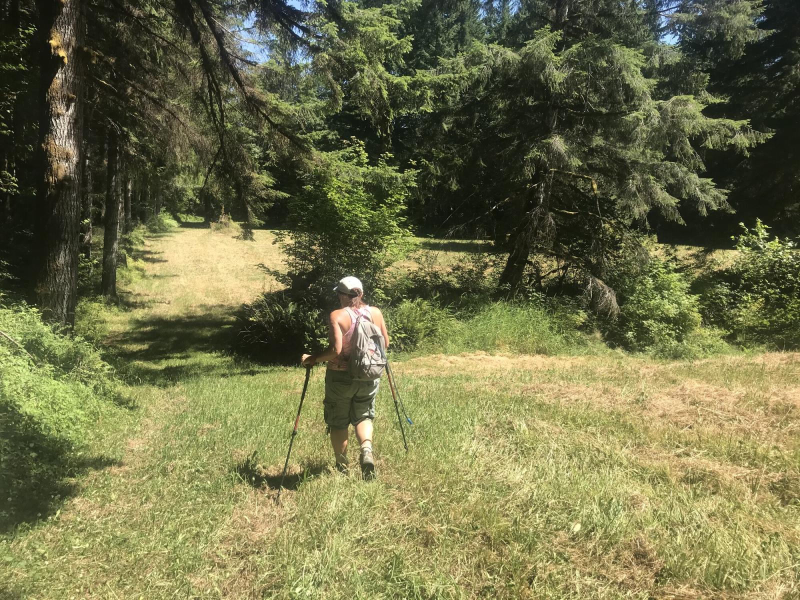 A female hiker walks through tree-lined, mowed field managed for elk at the Wynoochee Mitigation Wildlife Area Unit