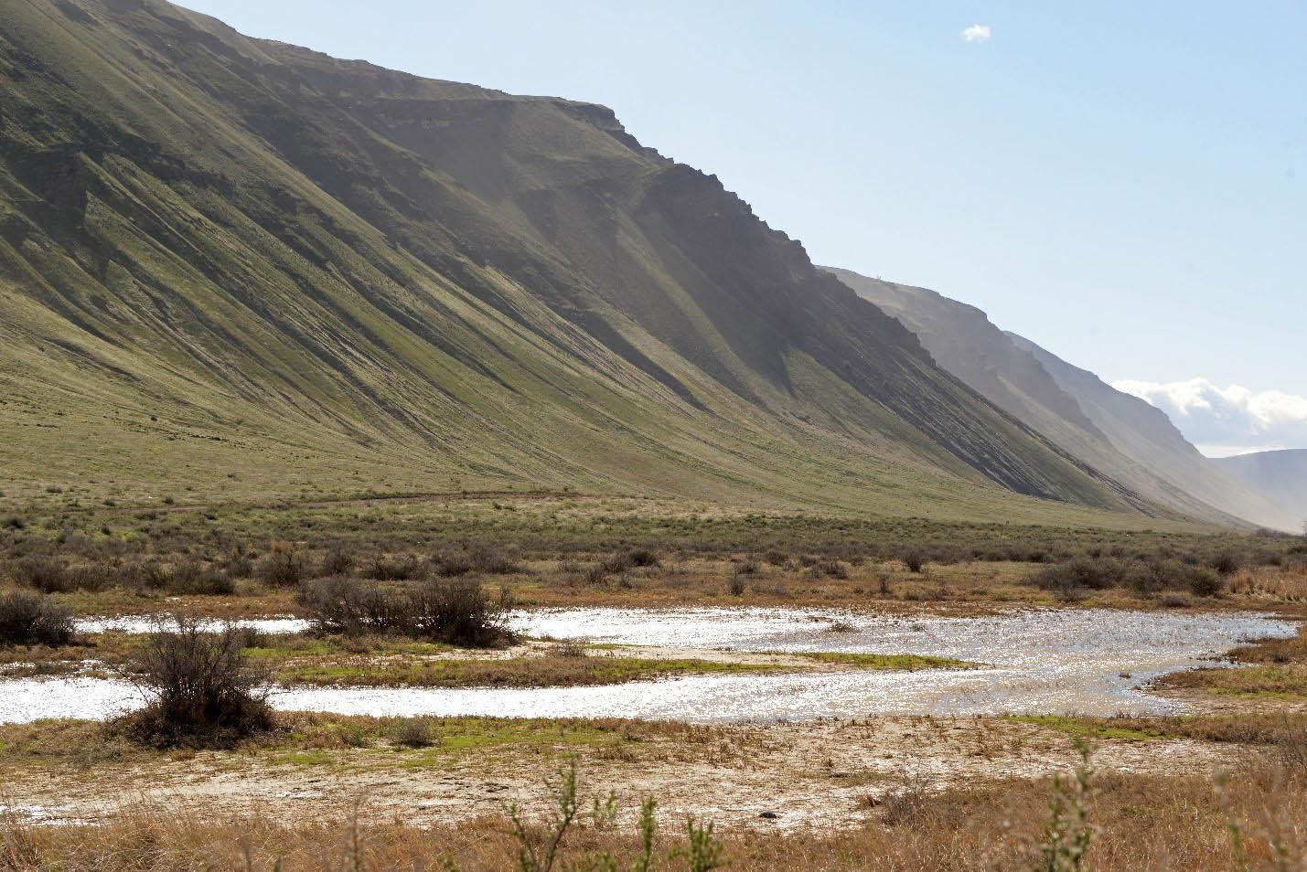 Lower Crab Creek wildlife area unit