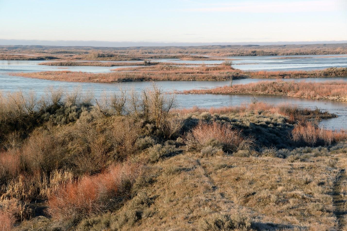Sunrise over water and shrubland on the Potholes Reservoir Unit